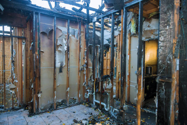 Professional Smoke Damage Removal technician working in Dousman, WI